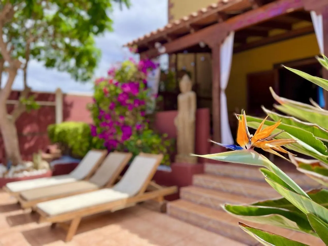 Villa Zen Adeje Piscina Privada Climatizada Costa Adeje   Costa Adeje (Tenerife)